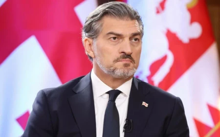 მიხეილ ყაველაშვილმა 226 ადამიანი შეიწყალა — გათავისუფლებულთა შორის აქციებზე დაკავებულებიც არიან