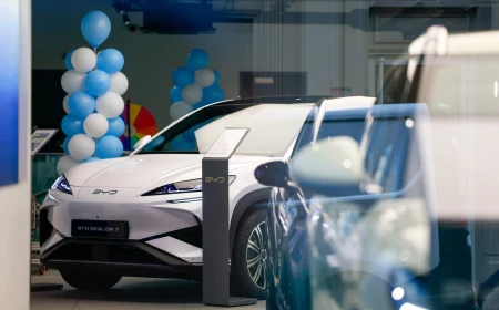 BYD ოფიციალურად საქართველოში — თბილისში პირველი შოურუმი გაიხსნა